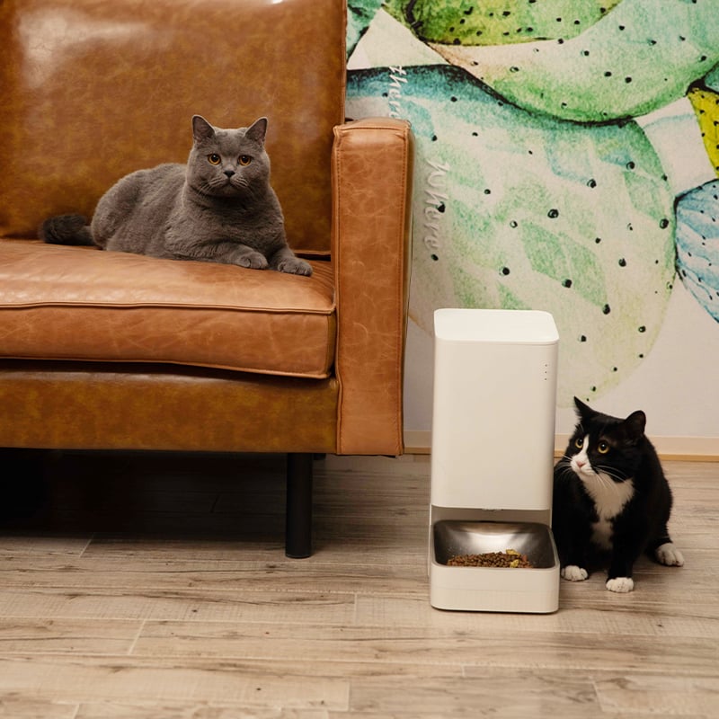 Xiaomi Smart Pet Food Feeder EU - Image 9