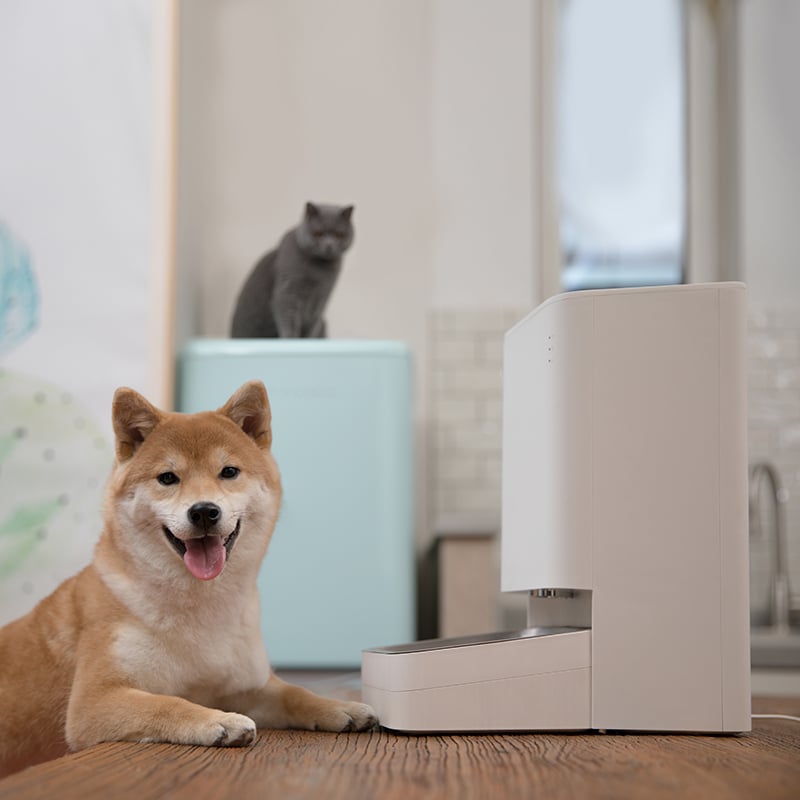 Xiaomi Smart Pet Food Feeder EU - Image 5